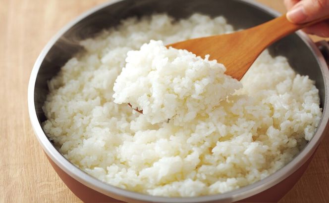 [ ピタパン深型 (24) シャンパンゴールド ] アサヒ軽金属