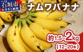 ≪2026年4～10月順次発送≫ 石垣島産 希少な国産『ナムワバナナ』を贅沢に1房丸ごと約1.5-2kg（12-20本）| 沖縄 石垣 バナナ フルーツ 果物 南国フルーツ 国産 TF-102_R8