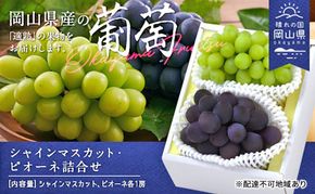 ぶどう 2026年 先行予約 果物 詰合せ シャイン マスカット 1房 ニュー ピオーネ 1房 合計約1.0kg ブドウ 葡萄 岡山県産 国産 フルーツ 果物 ギフト [№5735-1900]