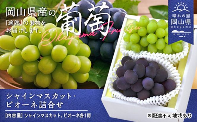 ぶどう 2026年 先行予約 果物 詰合せ シャイン マスカット 1房 ニュー ピオーネ 1房 合計約1.0kg ブドウ 葡萄 岡山県産 国産 フルーツ 果物 ギフト [№5735-1900]
