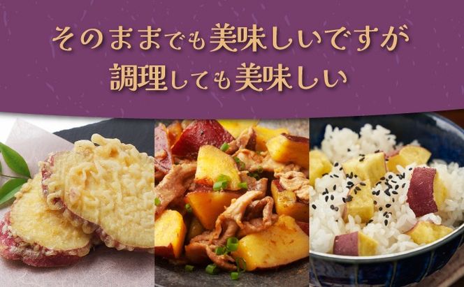 【先行予約】数量限定 掘りたて！あま〜い 新さつまいも 紅まさり 2.5kg 芋 さつま芋 野菜 サツマイモ 焼き芋 甘い スイートポテト 旬 やさい 家庭用 rk029!
