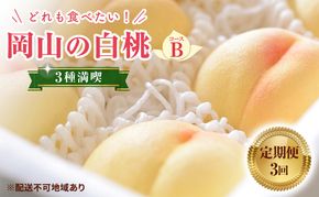 【 2027年 先行予約】 桃 岡山県産 どれも食べたい！岡山の桃 3種 満喫 プラン 3回 コースB ( 加納岩白桃 ・ 清水白桃 ・ 白皇 各1.2kg)《2027年6月下旬-8月中旬頃出荷》白桃 数量限定 期間限定 定期便