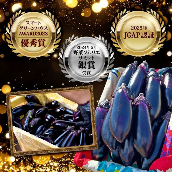 朝採れナス 選べる 約1.5kg ~ 3kg 単品 定期便 茄子 ナス 国産 高知 農家直送 野菜 ベジタブル 新鮮 なす 薄皮 焼きナス 美容 健康 朝どれ 焼き肉 アウトドア BBQ 和食 洋食 中華 おかず なすび せんとうふぁーむ 18本程度 42本程度 常温 栽培 農業 地産地消 旬 夏野菜 ヘルシー ビタミン ミネラル 食物繊維 ポリフェノール 料理 家庭菜園 レシピ 安芸市 高知県