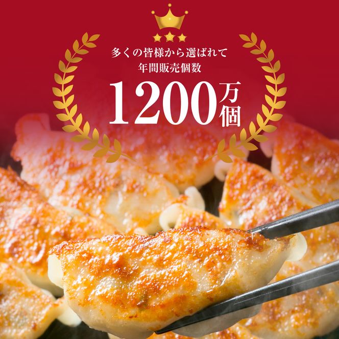 【大阪名物】大阪ふくちぁん餃子 冷凍生餃子 72個 ［36個入×2セット］ 272183_AY14