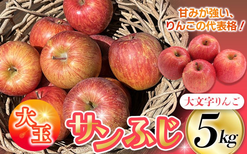 りんご・梨カテゴリ人気ランキング入り!≪12月末までの受付*無くなり次第終了≫[12月上旬より順次発送]大文字りんご園 サンふじ『大玉 約5kg』 (約10〜12玉) / 樹上完熟 りんご リンゴ 林檎 果物 くだもの フルーツ 甘い 旬 産地直送 予約 先行予約[dma513-sf-5D-big]