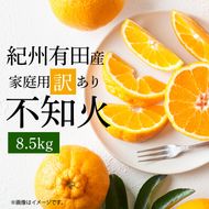 【2027年先行予約】紀州有田産 不知火 (しらぬい)【家庭用 訳あり】8.5kg_G7359