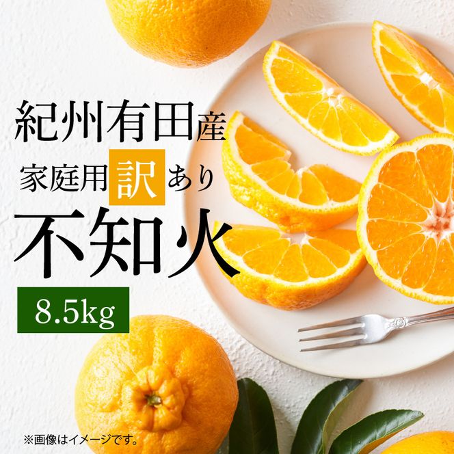 【2027年先行予約】紀州有田産 不知火 (しらぬい)【家庭用 訳あり】8.5kg_G7359