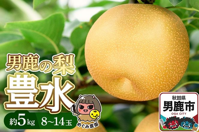 《先行受付》男鹿の梨 豊水 約5kg 8～14玉 梨 秋田県 男鹿市 ＜めぐみ農園＞ 2026年9月中旬より発送|23_mgm-010501