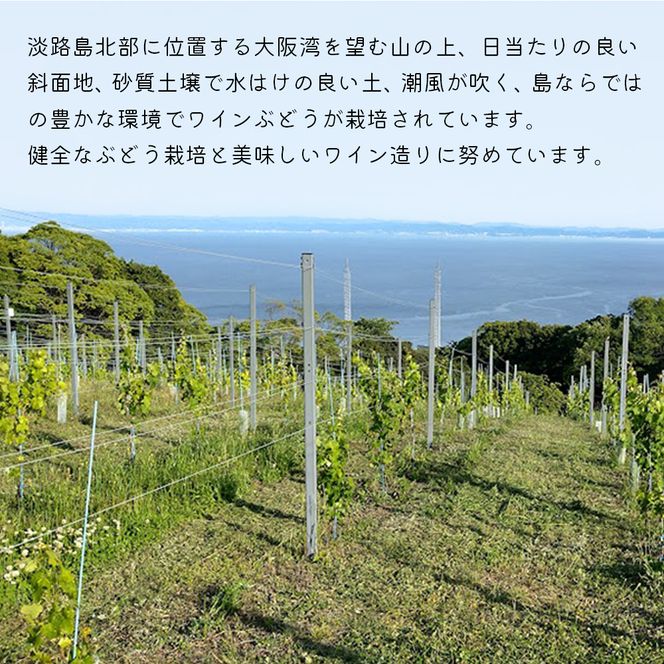 島薫るBlanc 2025 -デラウエアペティアン-　750ml 微発泡白ワイン 酸化防止剤無添加　白ワイン