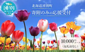 北海道湧別町 寄附のみの応援受付 10,000円コース（返礼品なし 寄附のみ 10000円）