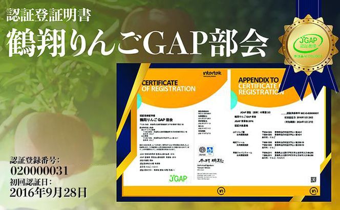 11～12月発送【 糖度保証 】 贈答用 葉取らず サンふじ 約 5kg 【 特選 】鶴翔りんごGAP部会 青森県産 津軽産 リンゴ 林檎 果物類 高糖度 ギフト 