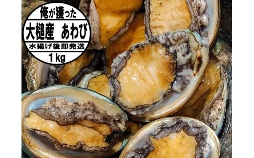 [2026年11月〜12月発送]活アワビ 約1kg (7個前後) ※アワビヘラ&軍手付き※[期間限定]|冷蔵 三陸 岩手県 大槌町 あわび 人気 鮑 刺身 いわて iwate 2026 初栄丸 [35]