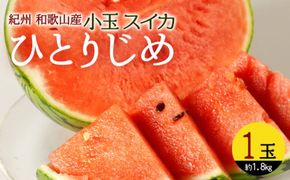 G7076_紀州 和歌山産 小玉 スイカ 「ひとりじめ」 1玉