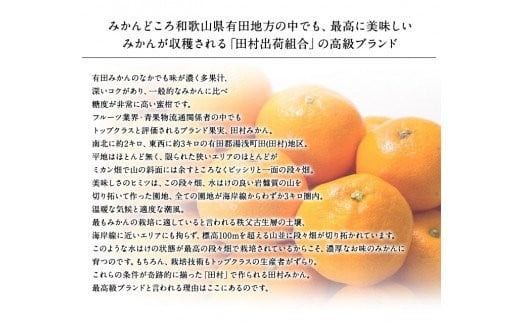 【予約受付】田村みかん　秀品5キロ/サイズおまかせ◆2026年11月下旬～2027年1月中旬頃に順次発送予定(お届け日指定不可)　紀伊国屋文左衛門本舗【kztb301B】