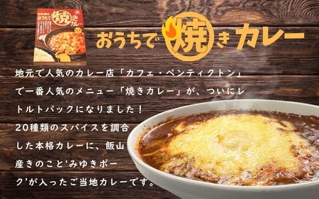 「おうちで焼きカレー」・「信州味噌入り野沢菜キーマカレー」各5箱合計10箱セット(K-2.2)