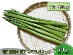 アスパラガス 先行予約 夏アスパラガス 約1kg+100g M～2L 混合 川田農園 アスパラ グリーンアスパラ 野菜 夏野菜 旬 旬の野菜 産地直送 2026年 2026 予約 青森 冷蔵 冷蔵配送 7月～9月発送