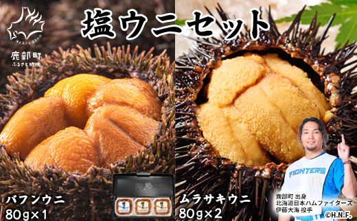 塩うに 計240g バフンウニ×1パック ムラサキウニ×2パック ミョウバン不使用 塩蔵うに ご飯のお供 ギフトセット