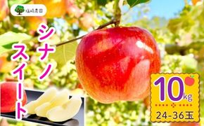 【先行予約丨2026年10月中旬より順次発送】シナノスイート【約10kg (22〜40玉)】(At-013)丨長野県 飯山市 おすすめ ランキング おいしい 高評価 大人気 先取り 産地直送 りんご
