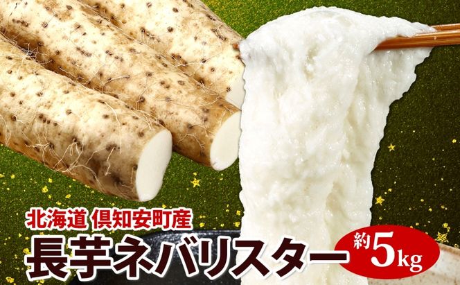【 2026年 出荷 】 北海道 倶知安町産 ネバリスター 計5kg 北海道産 芋 ながいも 長芋 とろろ 新鮮 フレッシュ 野菜 農作物 産直 山芋 大和芋 イチョウ芋 麦とろ 山かけ おつまみ グリーンアースファーム