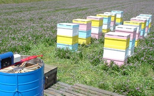 E-26a 国産はちみつ600g