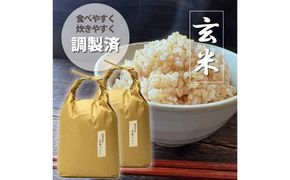 【令和6年産】福岡県産 【特A】評価のお米「元気つくし」5kg×2袋（10kg）玄米 お米 米