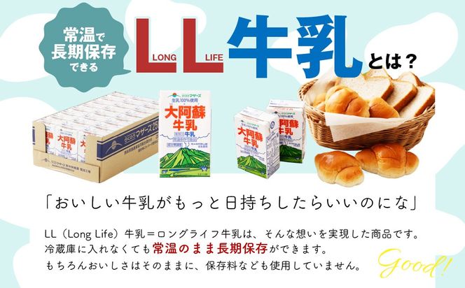 大阿蘇牛乳 250ml×24個入（1箱） 牛乳 ミルク 成分無調整 紙パック パック ロングライフ 長期保存 常温 熊本県 上天草市