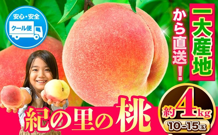 桃 もも 和歌山県産 約4kg [2025年6月中旬-8月中旬頃出荷] 紀の里の桃 送料無料 10-15玉入り 旬の桃を厳選 あかつき モモ 果物 フルーツ お取り寄せ 予約 和歌山 白鳳 日川白鳳 八旗白鳳 清水白桃 川中島白桃 つきあかり なつおとめ---wfn_cwlocal73_6c8c_25_22000_4kg---