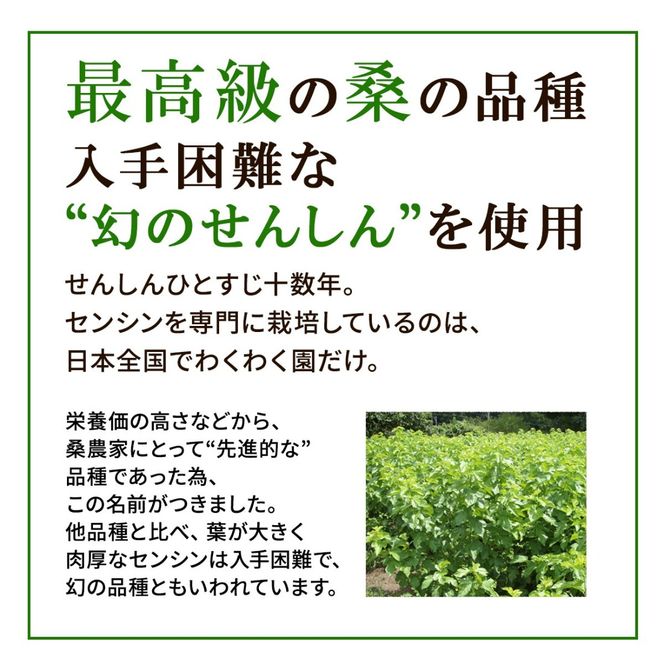 a1014 さつま桑茶 (30包) 桑の葉 桑茶 国産 無農薬 健康茶 ハーブ マルベリー ノンカフェイン【わくわく園】