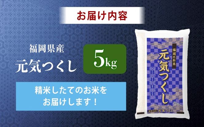令和7年産　福岡県　元気つくし　5kg　《築上町》【カネガエ】[ABFA004]