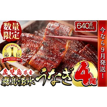 【志布志市人気No.1お礼の品】霧島湧水鰻の蒲焼き 160g以上×4尾＜計640g以上＞ b5-178