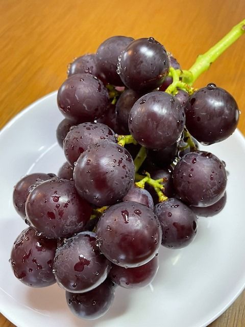 【先行予約】有田巨峰村三木と園のあま～いジューシー！ 種あり 藤稔（ふじみのり）2kg(4〜6房)  	BR10