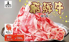 飛騨牛 切り落とし 350g×2P 国産 国産牛 牛肉 肉 牛 日本産 和牛 BBQ 焼き肉 赤身 小分け 便利 冷凍保存 一人暮らし 牛丼 肉じゃが 煮物 焼く 簡単調理 薄切り 飛騨牛切り落とし カレー ビーフシチュー 贈答品 お取り寄せ 送料無料 岐阜県 美濃市