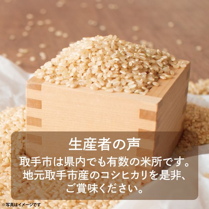 【令和8年度産】取手市産 コシヒカリ 玄米30kg | 米 玄米 こしひかり JA 茨城県 取手市 （AR003）