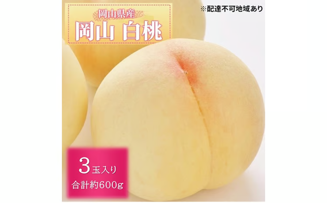 先行予約 晴れの国 岡山のフルーツ 定期便 3回コース 1回目岡山 白桃3玉 合計約600g／2回目桃太郎ぶどう 1房約500g／3回目シャインマスカット 1房約500g