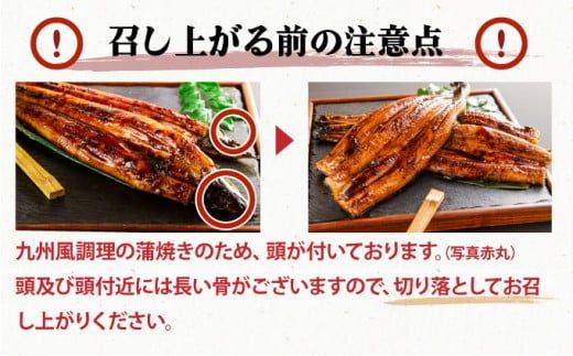 【配送時期が選べる】『国産』うなぎ蒲焼 3尾 計480g [B-1125-PE]