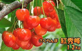 先行受付 北海道 仁木町産さくらんぼ 紅秀峰 1.2kg （300g×4パック） 美味しい 人気 おすすめ お裾分け サクランボ チェリー フルーツ 果物 果物類  仁木町 仁木 [JA新おたる]