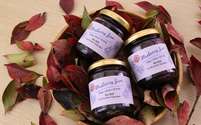 蒜山高原のブルーベリージャム 140g×3個 / ブルーベリー フルーツ ジャム 蒜山高原 岡山県 真庭市 蒜山 プレゼント ギフト 【kbkb004-01】