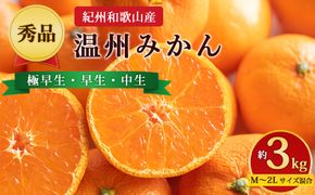 【先行予約】【秀品】紀州和歌山産 温州みかん 約3kg（箱込み） M～2L サイズ混合（極早生・早生・中生）