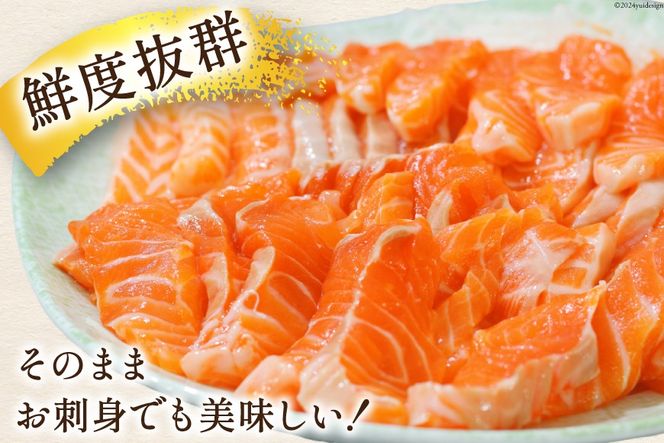 訳あり トロサーモン 切り落とし 1kg 125g×8p [足利本店 宮城県 気仙沼市 20564914] 鮭 海鮮 魚介類 お刺し身 刺し身 個包装 チリ銀鮭 銀鮭 海鮮丼 魚介 魚 トロ 無添加 小分け