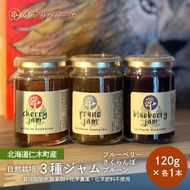 北海道仁木町産 ジャム120g×3種セット（ブルーベリー・プルーン・さくらんぼ） 栽培期間中 除草剤・化学農薬・化学肥料不使用 サクランボ プルーン ブルーベリー ジャム 果物 フルーツ 北海道 仁木町 [iori farm]