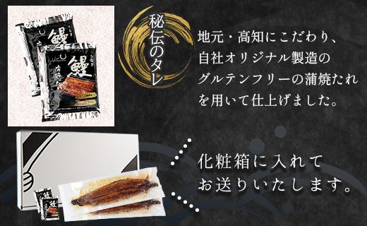 うなぎ 定期便【２回定期便】国産養殖うなぎ蒲焼き 約200g×1尾(愛知県産鰻) うなぎ 魚介 国産 海鮮 魚 かばやき 鰻 ウナギ 惣菜 おかず お手軽 加工品 加工食品 冷凍 Wfb-0069