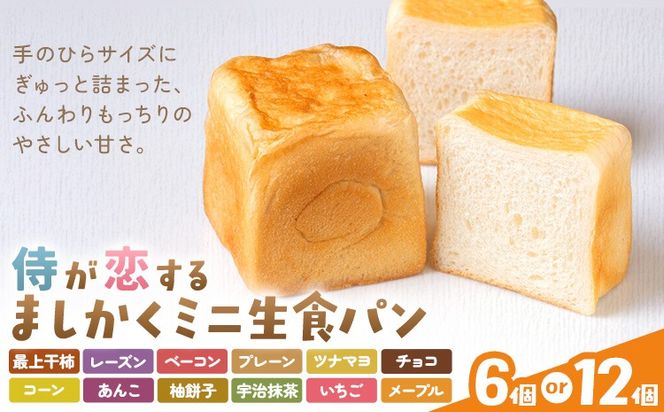 侍が恋する ましかくミニ生食パン 選べる 6個 12個 侍が恋するパン屋《30日以内に出荷予定(土日祝除く)》岡山 矢掛町 パン 食パン 最上干柿 レーズン ベーコン プレーン ツナマヨ チョコ コーン あんこ 柚餅子 宇治抹茶 いちご メープル 矢掛の侍イタリアン---osy_fssypan_30d_26_12500_12---