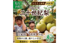三ツ田農園 二十世紀梨(青秀)3kg【8月下旬以降お届け】 313726_CY010