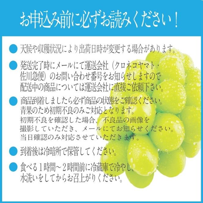 2026年 先行予約受付中 シャインマスカット晴王 約2kg(3～5房) 岡山県産 種無し 皮ごと食べる みずみずしい 甘い フレッシュ 瀬戸内 晴れの国 おかやま 果物大国 ハレノフルーツ [№5735-2161]