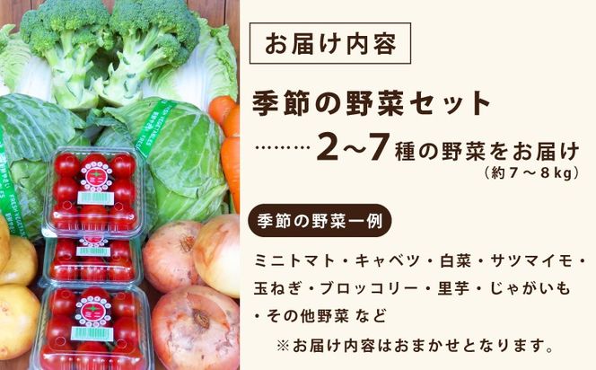 G3452 季節の野菜セット 2～7種類【国産 新鮮 おまかせ 詰め合わせ】