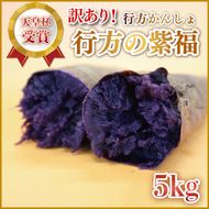 【2026年12月より順次発送】【訳あり】行方かんしょ「行方の紫福」さつまいも約5kg（洗い・不揃い・C品）｜さつまいも サツマイモ さつま芋 お芋 行方の紫福 訳あり わけあり 訳アリ 行方かんしょ 茨城県 行方市(AE-112)