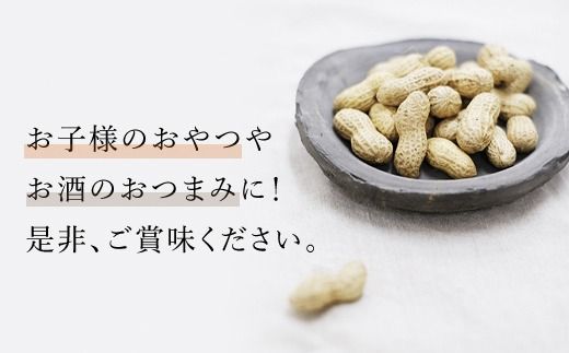 千葉県産　天日干しいりざや落花生　大箱 SME002