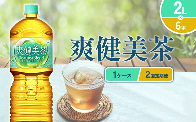 【2回定期便】爽健美茶 2L PET【コカ・コーラ】ペットボトル 1ケース(6本)  定期便2回（12本）セット お茶 カフェインゼロ ノンカフェイン ハトムギ ブレンド茶 宮崎県 えびの市 送料無料