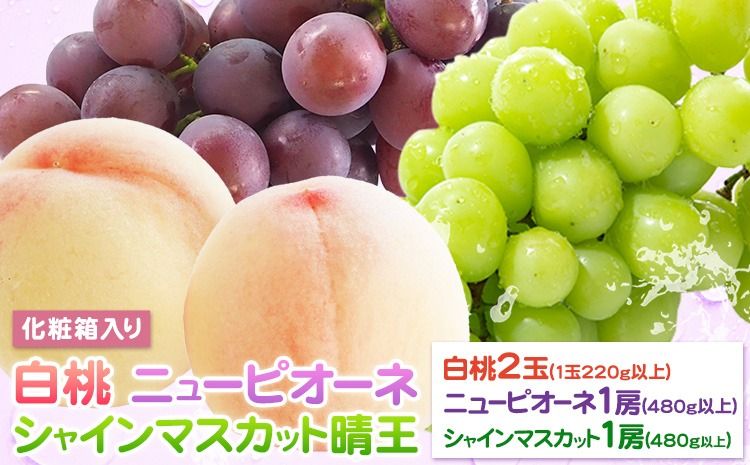 [2026年先行予約]桃 ぶどう 詰合 岡山白桃 2玉(1玉220g以上) ニューピオーネ1房(1房480g以上) シャインマスカット 晴王 1房(1房480g以上) 化粧箱入 株式会社山博[2026年7月下旬-8月中旬頃出荷]岡山県 笠岡市 フルーツ 果物 葡萄 マスカット もも お取り寄せ[配送不可地域あり]---Y-34a---