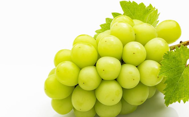 ぶどう 2026年 先行予約 シャイン マスカット 晴王 約500g×2房 種無し ブドウ 葡萄  岡山県産 国産 フルーツ 果物 ギフト 